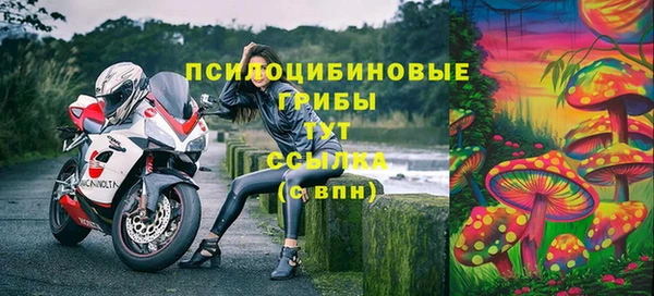 ALPHA PVP Покровск