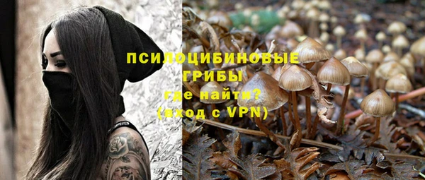 ALPHA PVP Покровск