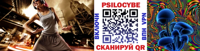 Псилоцибиновые грибы Psilocybine cubensis  Купить  Инза 